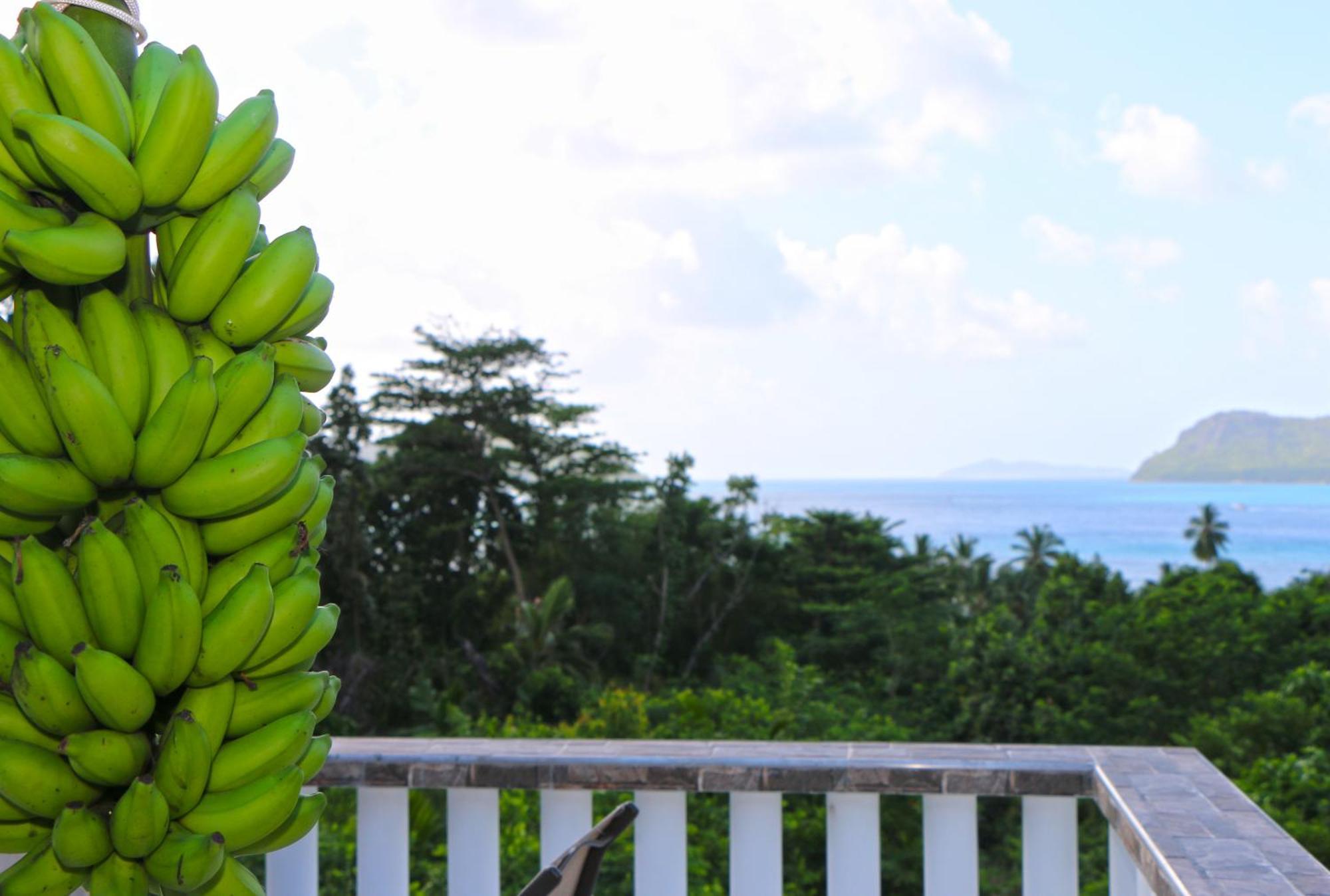 Ocean Blue Bay Apartment Anse Volbert Village  Ngoại thất bức ảnh